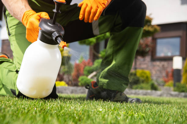 Best Best Pest Control Companies  in Weatogue, CT