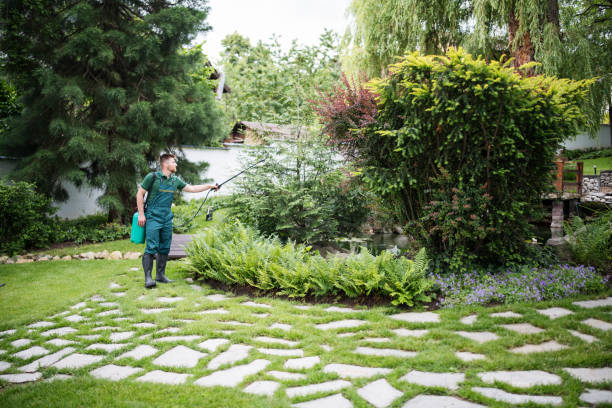 Professional Pest Control in Weatogue, CT