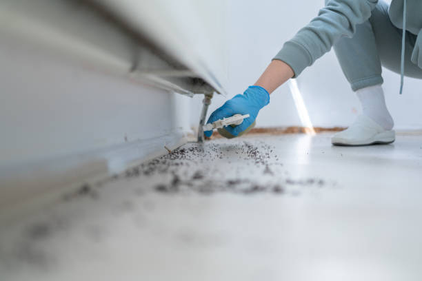 Best Pest Prevention Services  in Weatogue, CT